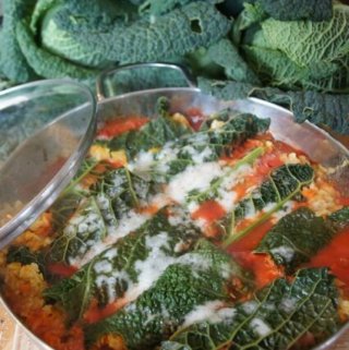 platzhalter