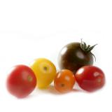 Cocktailtomaten