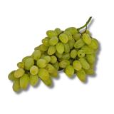 Trauben weiß kernlos ~1kg