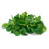 Feldsalat ca. 175g