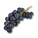 Trauben blau (Muscat bleu) 400g
