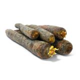 Möhren violett - Purple Haze