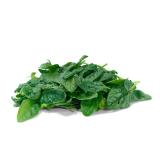 Babyspinat 250 g