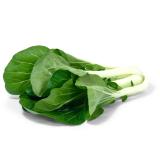 Pak Choi - lieferbar 13.04.-28.04.26