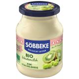 Joghurt Kiwi-Stachelbeere