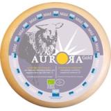 Schafgouda Rosmarin-Thymian