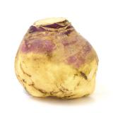 Steckrüben - kleine Rüben