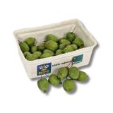 Kiwi Beeren in der Schale
