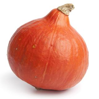 Hokkaidokürbis