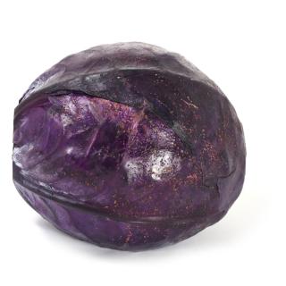 Rotkohl - neue Ernte