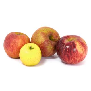 Äpfel - alte Sorte: Zuccalmaglio Renette