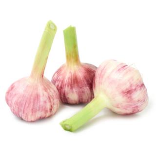 Knoblauch - frisch