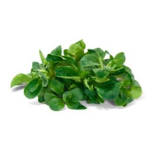Feldsalat ca. 1kg