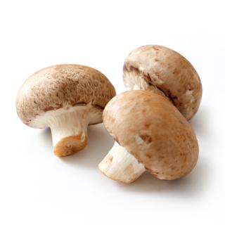 Steinchampignons - regional