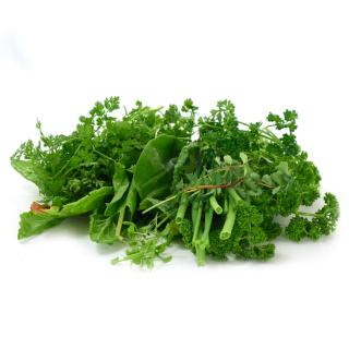 Grüne Soße - lieferbar ab 26.03.26