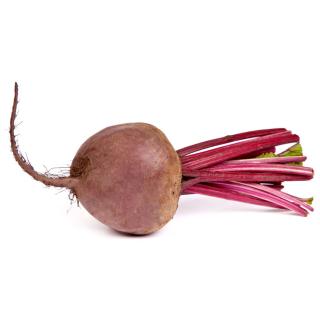 Rote Bete - neue Ernte