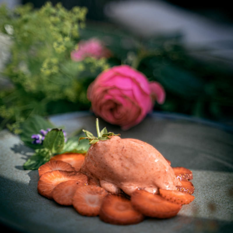 Cocoberry - Erdbeer-Kokos-Eis