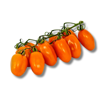 Datteltomaten gelb