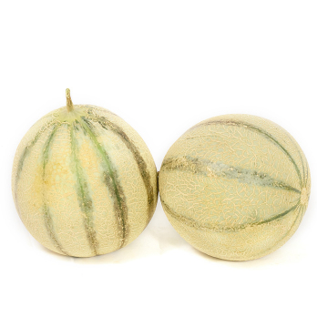 Melone Cantaloupe