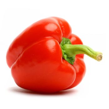 Paprika rot - deutsch