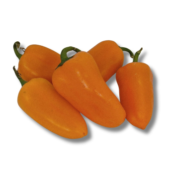Paprika mini - orange