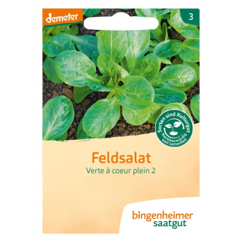 Feldsalat Verte à couer plein 2
