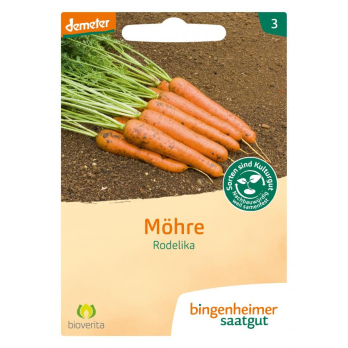 Möhre spät Rodelika