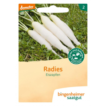 Radieschen Eiszapfen
