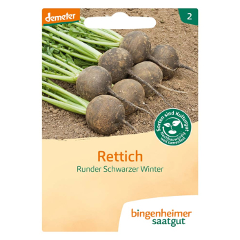Rettich Runder schw. Winter