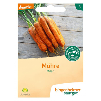 Möhre früh Milan/Nantaise