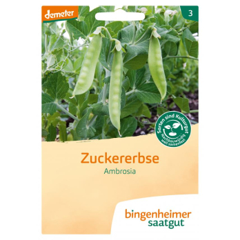 Zuckererbse Ambrosia