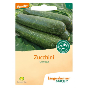Zucchini Serafina
