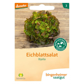 Eichblattsalat rot Bijella
