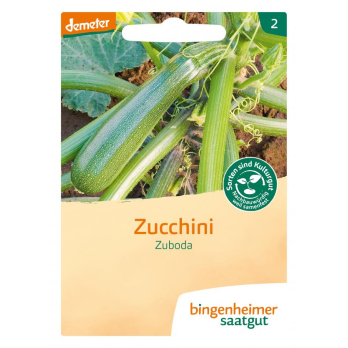 Zucchini gelb Solara