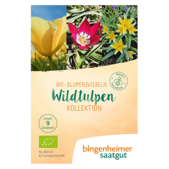 Wildtulpen Kollektion