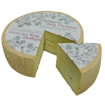 Splügner Bergthymian