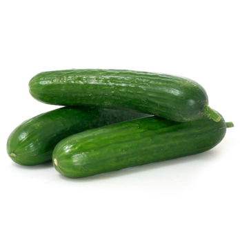 Mini-/Snackgurken - lieferbar ab 15.01.26