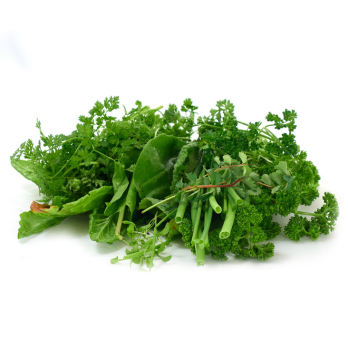 Grüne Soße - lieferbar ab 26.03.26