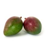 Mango Kent