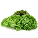 Blattsalat der Woche