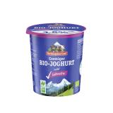 Joghurt natur laktosefrei 3,5%