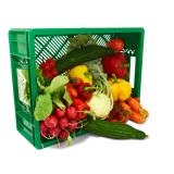 Snack / Büro Gemüse