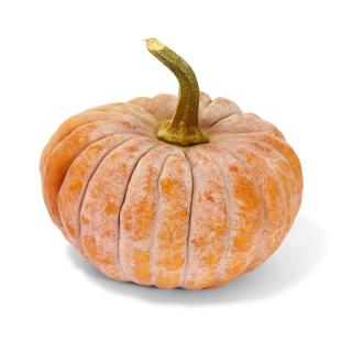 ! Kürbis Futsu Black Moschata  (kl. Muskatkürbis)