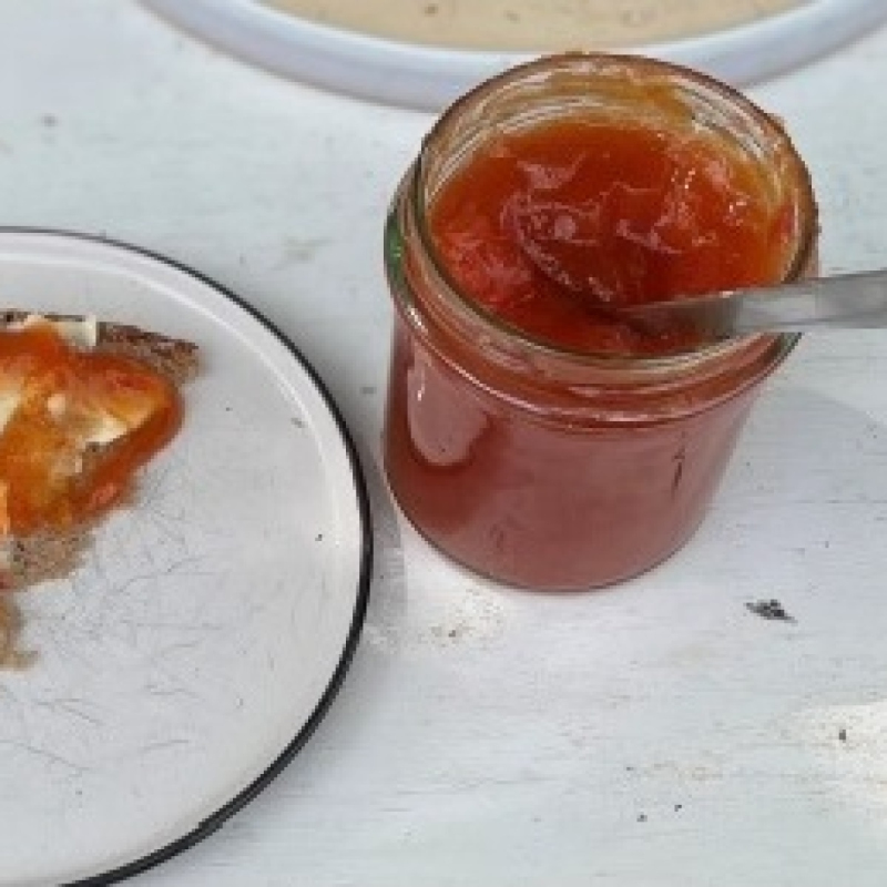 Aprikosen-Tomaten-Konfitüre