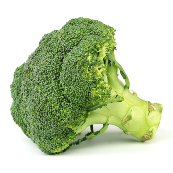 Brokkoli - lieferbar ab 20.04.26