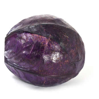 Rotkohl - neue Ernte