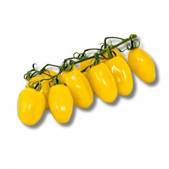 ! Datteltomaten gelb - wenig