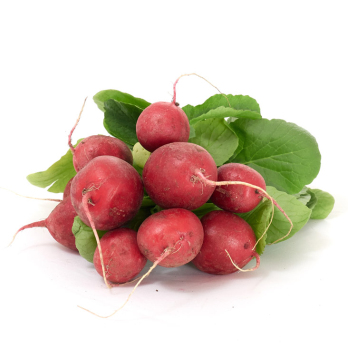 Radieschen
