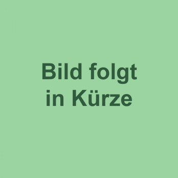 Algen-Salat mit Sesam und Ingwer