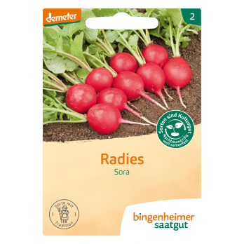 Radieschen Sora